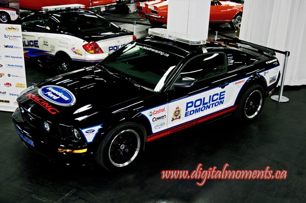 City Police Mustang