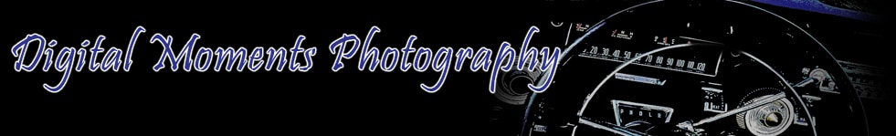 Professional Photography From Digital Moments!13